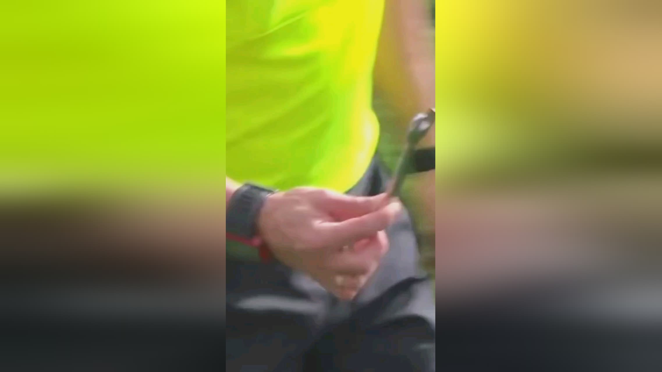 价值
